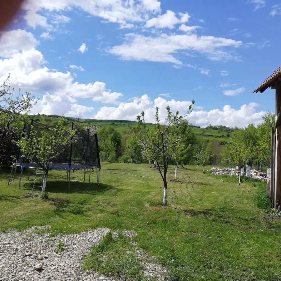 Гостевой дом Casa Din Barcut Экстерьер фото