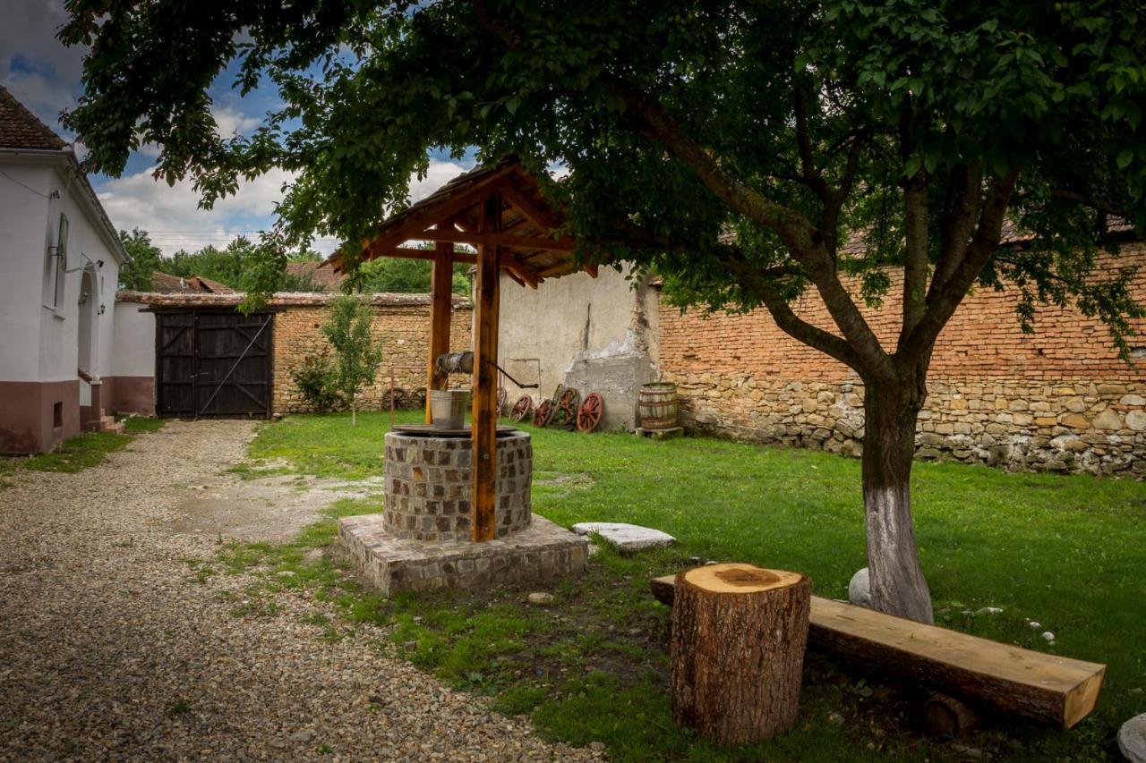 Гостевой дом Casa Din Barcut Экстерьер фото